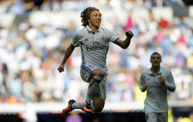 尼科的细心 尼科的细心