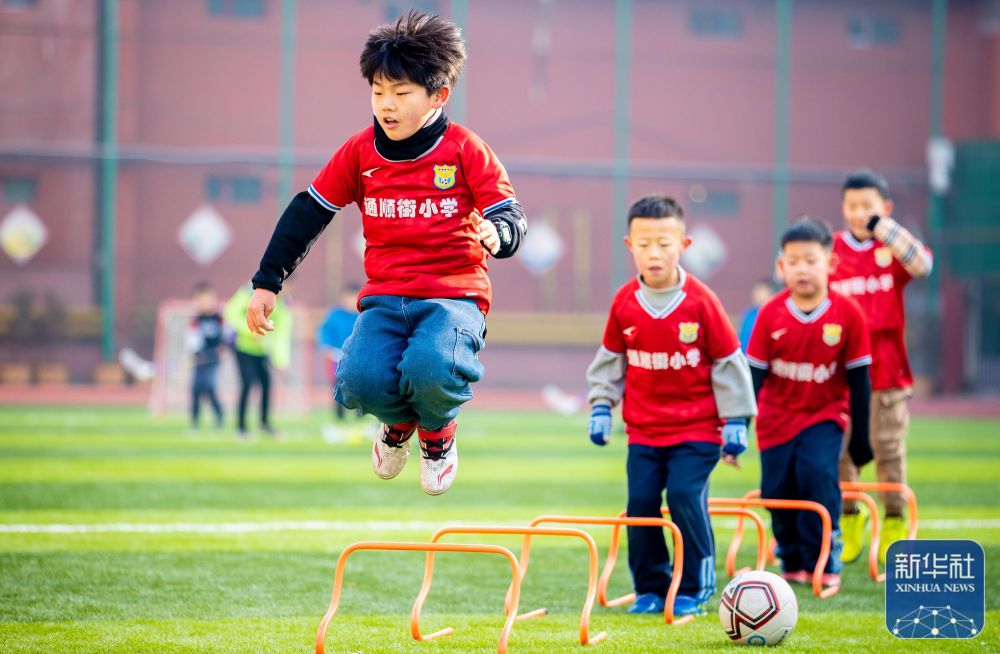 与三角草丛 与三角草丛